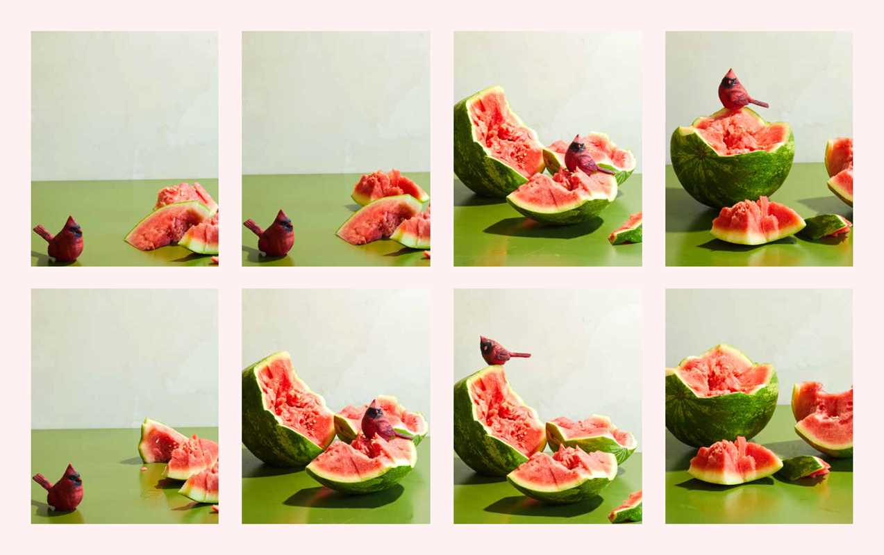 Watermelon and Red Birds by Nicole A. Taylor